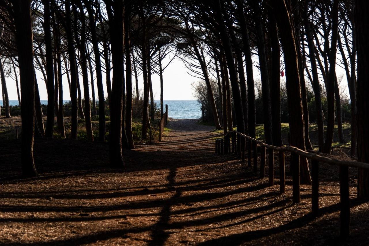 Appartamento Il Bucaniere A Marina Di Cecina Exteriér fotografie
