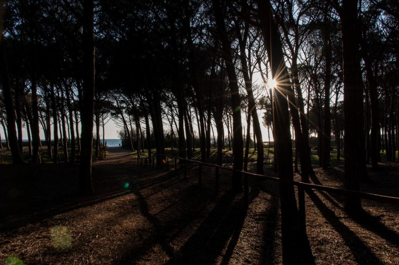 Appartamento Il Bucaniere A Marina Di Cecina Exteriér fotografie